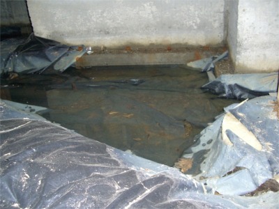 Standing water under house